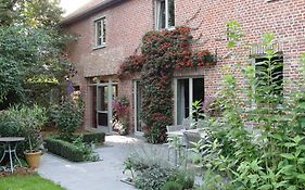 B&B Hedera